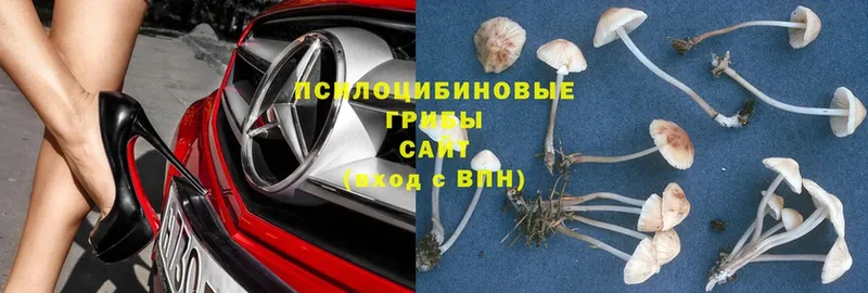 Псилоцибиновые грибы Magic Shrooms  что такое наркотик  Шарыпово 